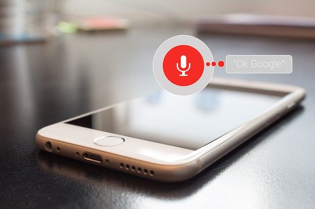 blogging for voice search